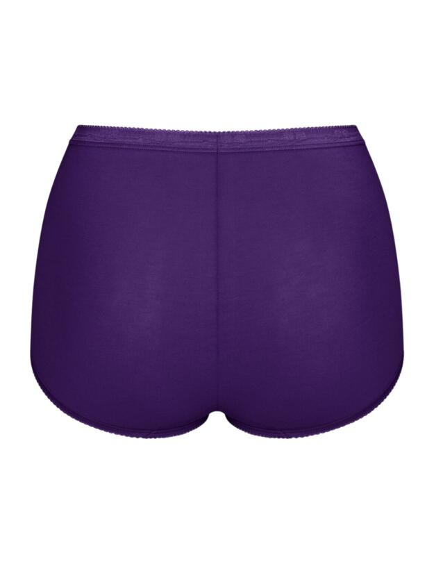 Sloggi Basic+ Maxi Briefs 3 Pack Multiple Colours 18