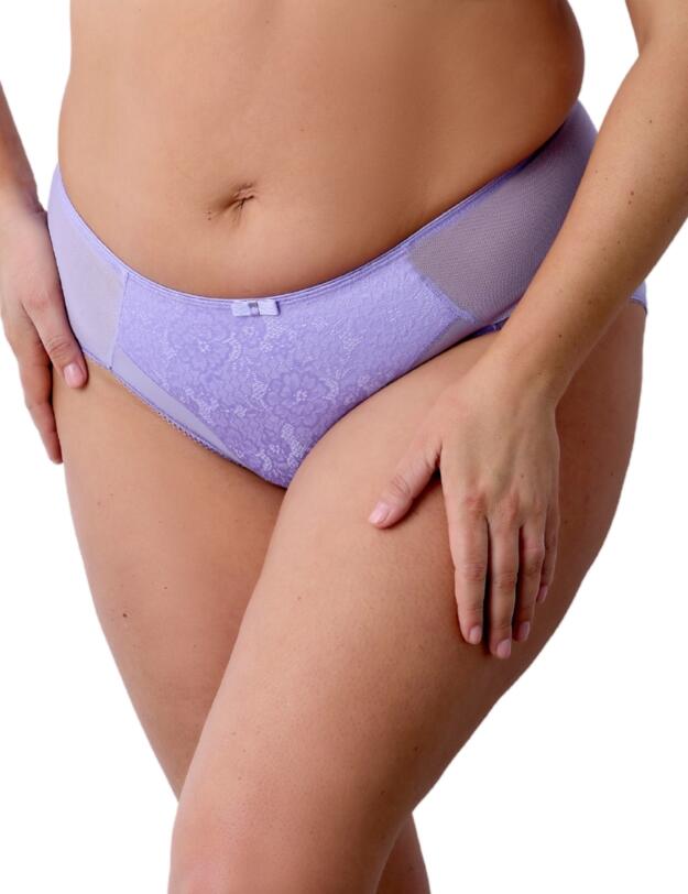 Berlei Beauty Minimiser Deep Brief Violet Tulip
