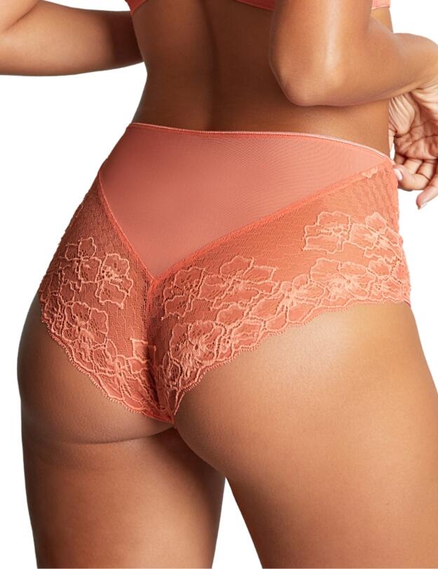 Panache Envy Deep Brief Terracotta