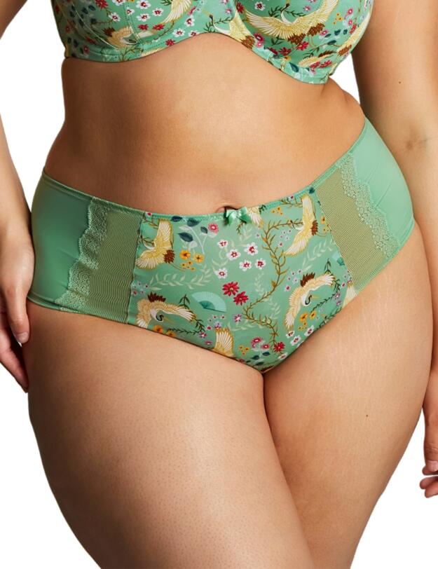Sculptresse by Panache Esme Deep Brief Wonderland