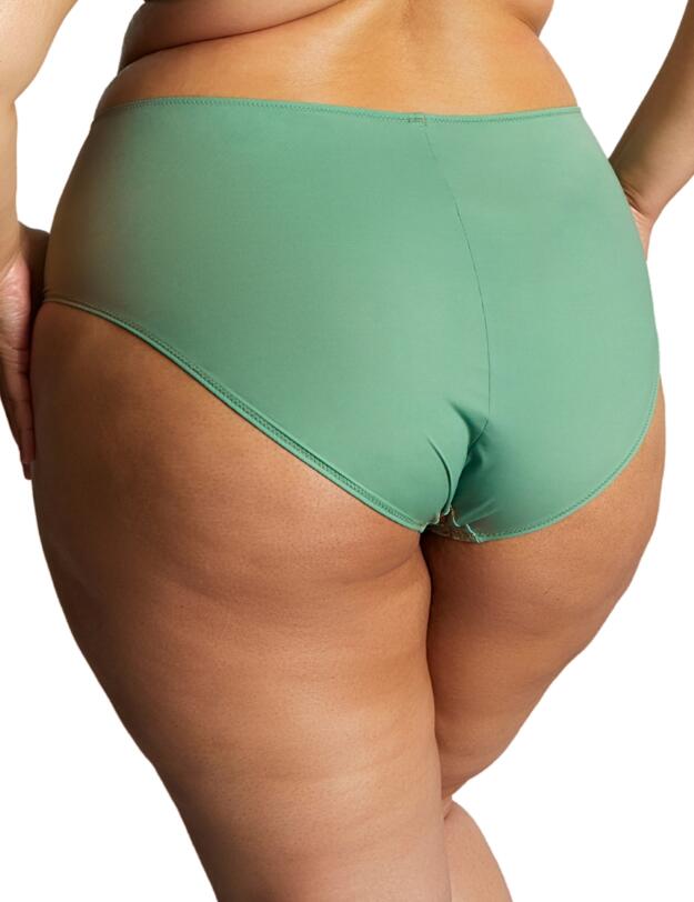 Sculptresse by Panache Esme Deep Brief Wonderland
