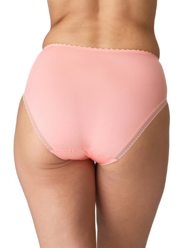Marie Jo Jane Full Brief Florida