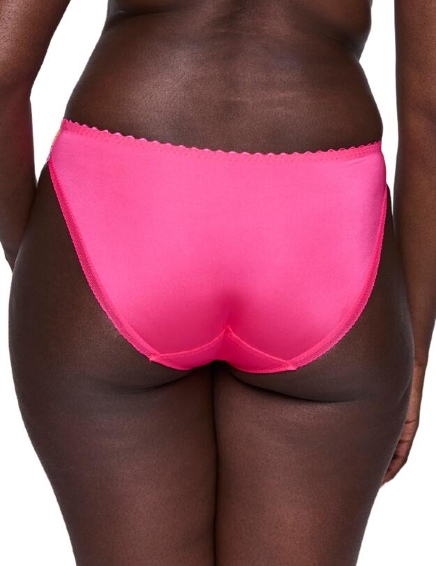 Prima Donna Cala Luna Rio Briefs Blogger Pink