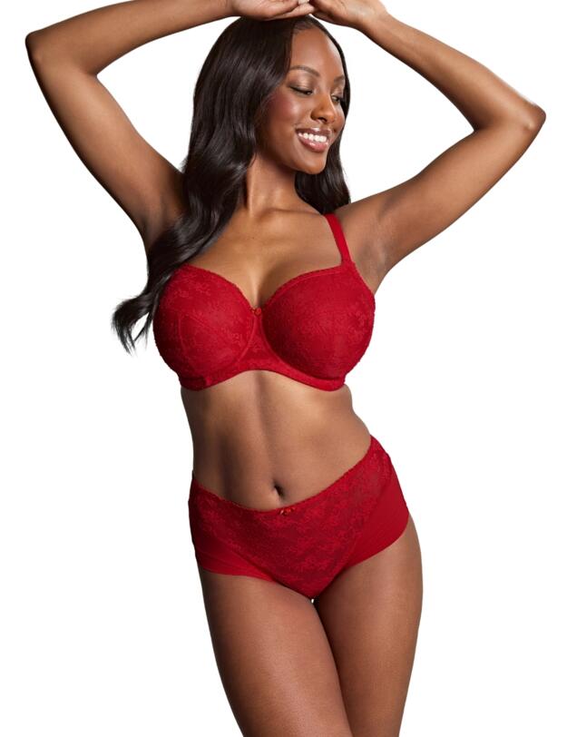 Panache Tango Lace Deep Brief Scarlet