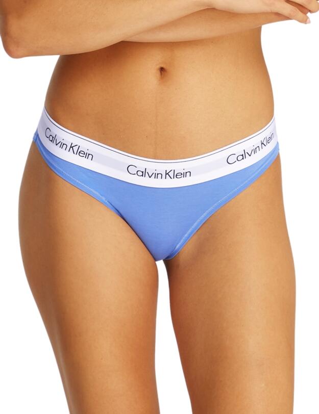Calvin Klein Icon Cotton Brief Glacier 