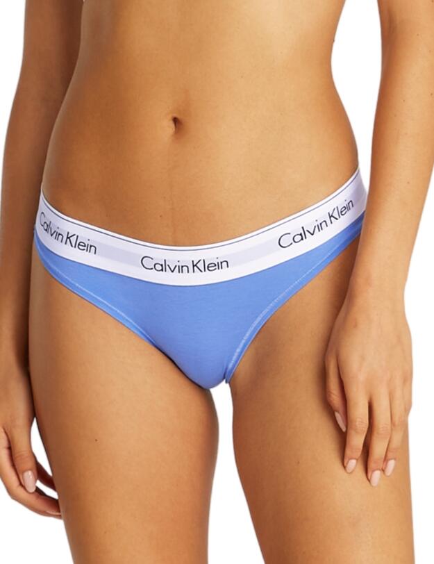 Calvin Klein Icon Cotton Brief Glacier 