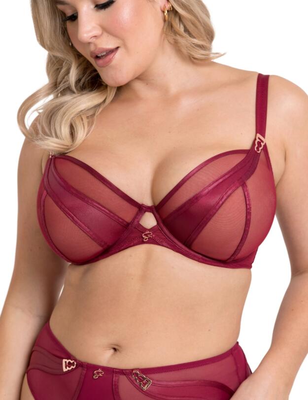 Scantilly by Curvy Kate Suspense Plunge Bra Sangria 