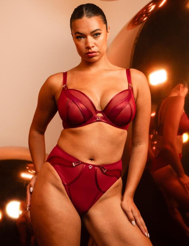 Scantilly by Curvy Kate Suspense High Waist Brief Sangria 