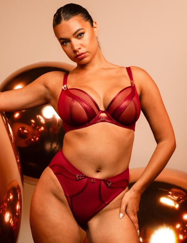 Scantilly by Curvy Kate Suspense High Waist Brief Sangria 