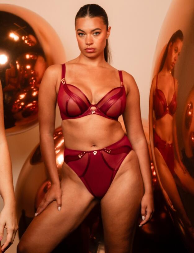 Scantilly by Curvy Kate Suspense High Waist Brief Sangria 