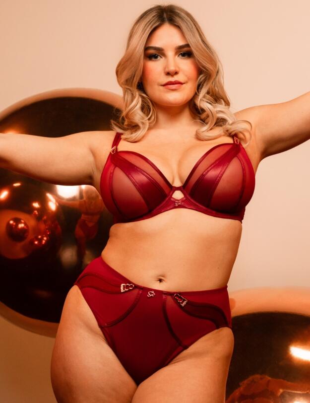 Scantilly by Curvy Kate Suspense High Waist Brief Sangria 