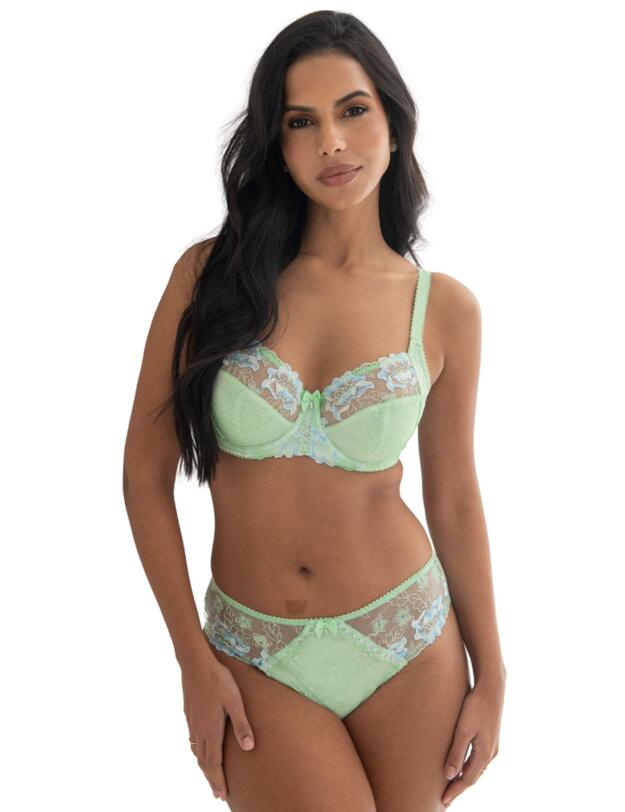 Pour Moi Sofia Embroidered Lace Brief Pistachio/Blue