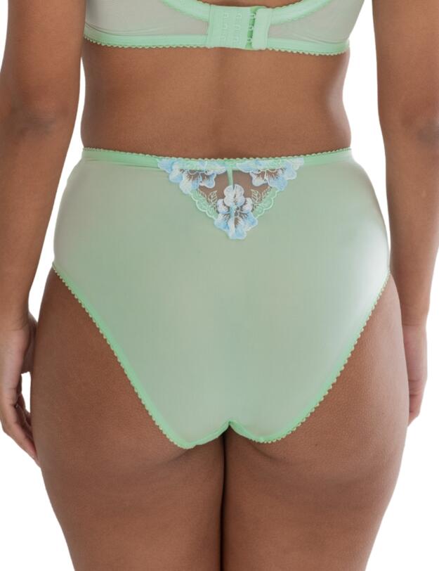 Pour Moi Sofia Lace Embroidered Deep Brief Pistachio/Blue