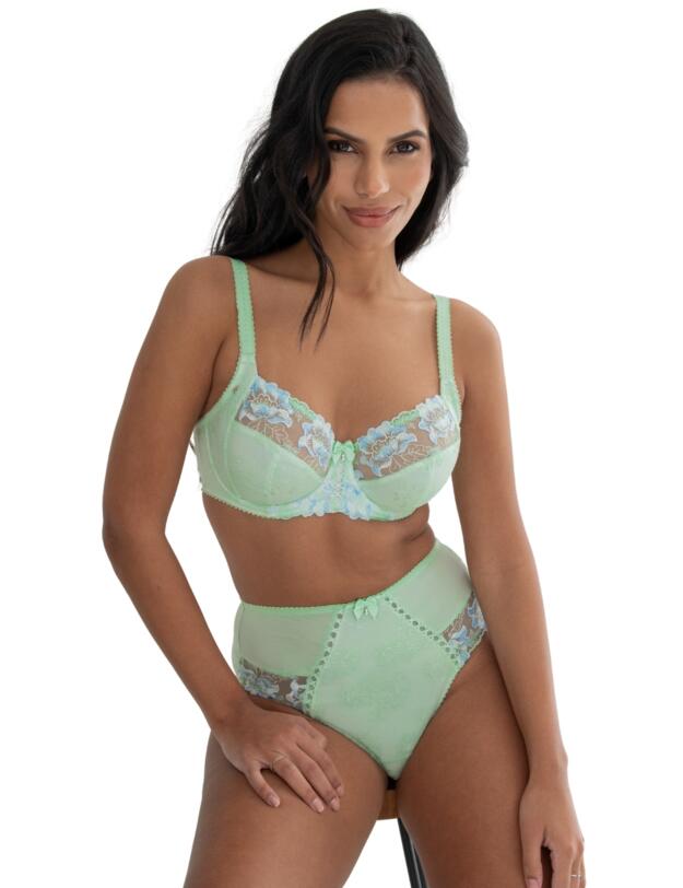 Pour Moi Sofia Lace Embroidered Deep Brief Pistachio/Blue