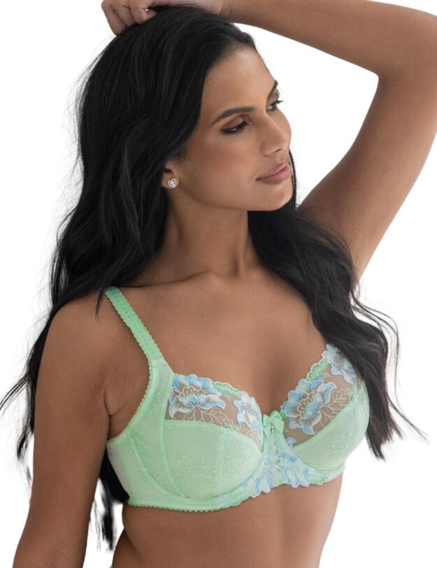Pour Moi Sofia Lace Embroidered Side Support Bra Pistachio/Blue 