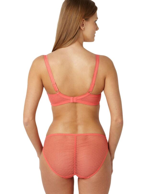 7762 Panache Fontaine Brief - 7762 Coral