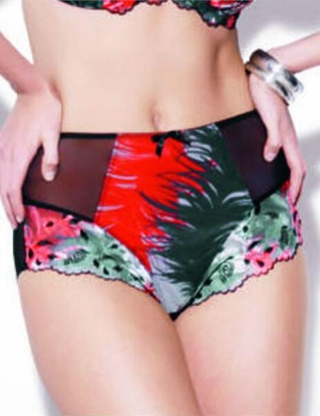 6715 Panache Paloma High Waist Brief  - 6715 High Brief