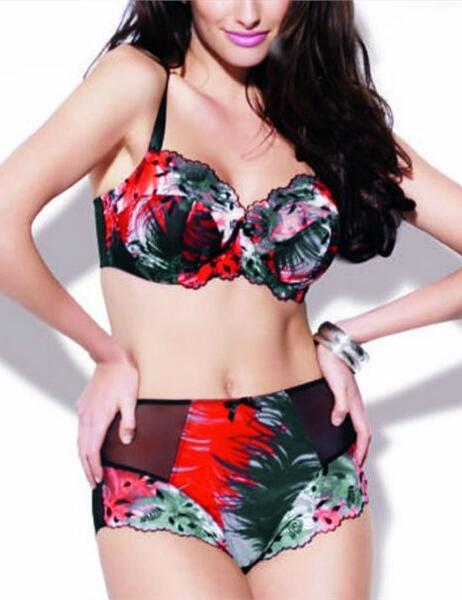6715 Panache Paloma High Waist Brief  - 6715 High Brief