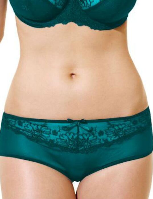 5052 Panache Ariza Brief Teal HALF PRICE - 5052 Brief