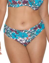 Curvy Kate Hibiscus Classic Bikini Brief in Print Mix