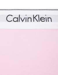 Calvin Klein Modern Cotton Plus Size Thong Pale Orchid