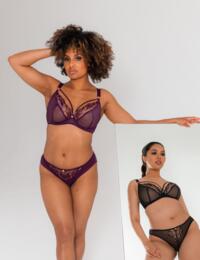 Scantilly by Curvy Kate Fascinate Brazilian Brief Plum