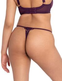 Scantilly by Curvy Kate Fascinate Thong Plum