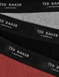 Ted Baker Mens Trunks 3 Pack Heather Grey/Black/Burnt Henna