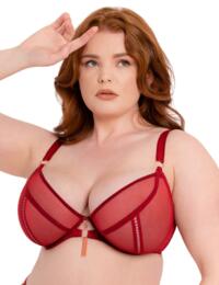 Scantilly by Curvy Kate Unchained Plunge Bra Deep Red