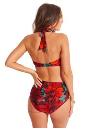 Pour Moi Orchid Luxe Control Bikini Brief Red/Teal
