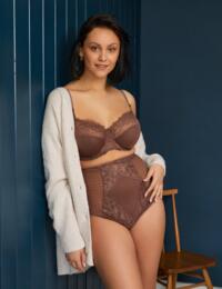 Panache Envy High Waisted Shaping Brief Chestnut