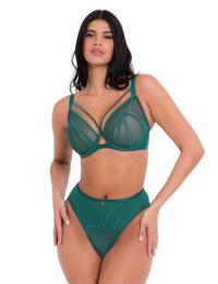 Scantilly by Curvy Kate Senses High Waisted Brief Verdigris