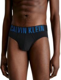 Calvin Klein Mens Intense Power Hipster Brief 2 Pack B-Celery Sprig, Piece of Blue Logo