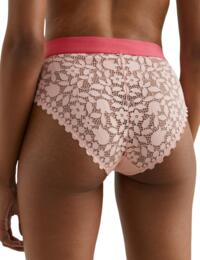 Tommy Hilfiger High Waisted Brief Cosmetic Peach