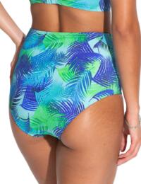 Pour Moi Aruba Control Bikini Brief Aqua Palm