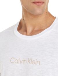 Calvin Klein Mens Crew Neck Logo Tee PVH Classic White