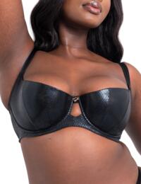 Scantilly by Curvy Kate Serpent Padded Half Cup Black
